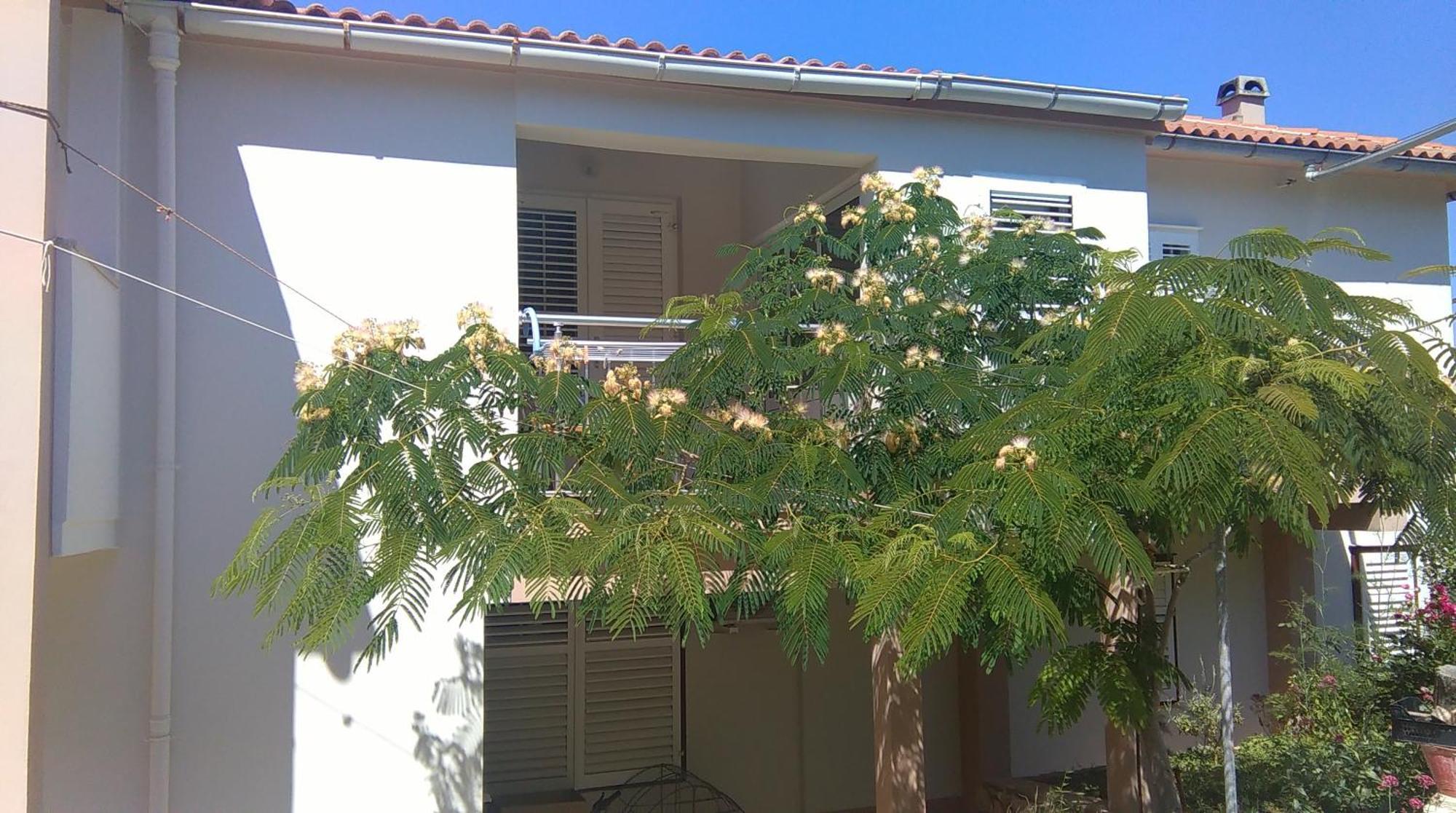 Apartments And Rooms Ljubica Lun  Exterior photo